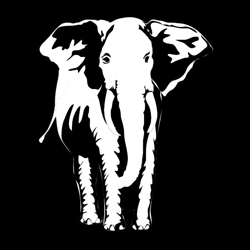 Elephant from Africa