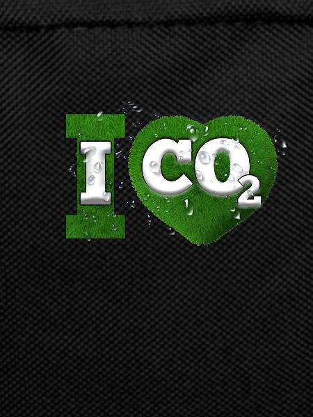 I Love co2 Klimawandel Leugner