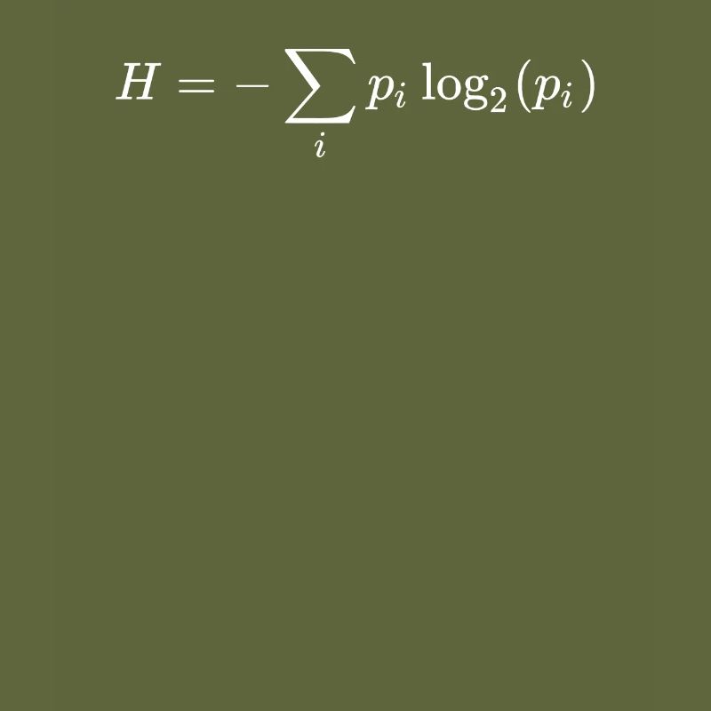 Information theory math and physics formula
