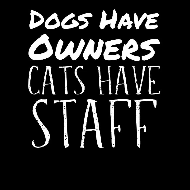 Cat Cats Pun Saying Funny Cat Lover Wit