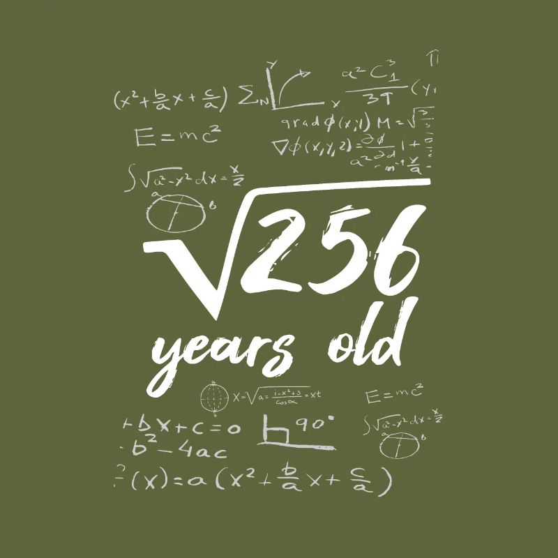 16 year old 16th birthday root from 256 math
