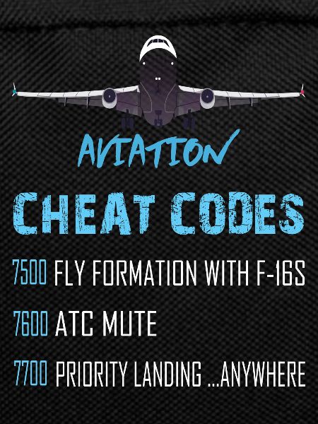 Aviation Cheat Codes