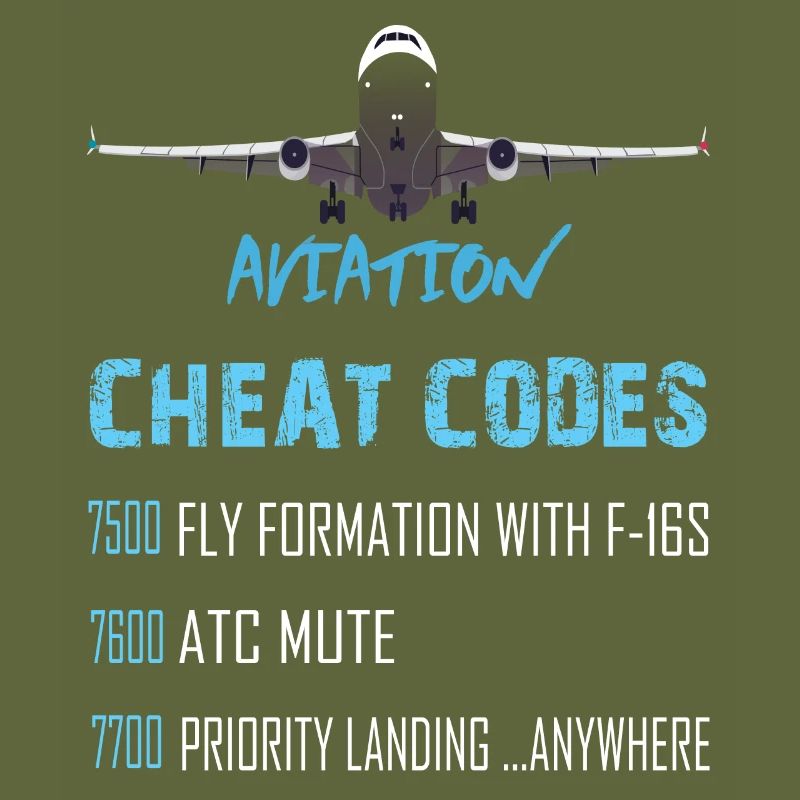 Aviation cheat codes