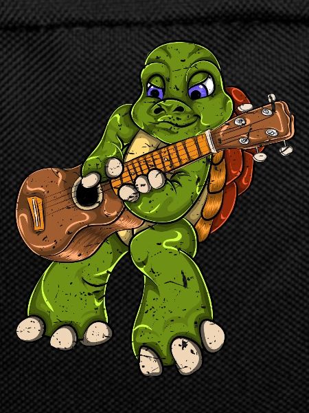 Turtle music guitar