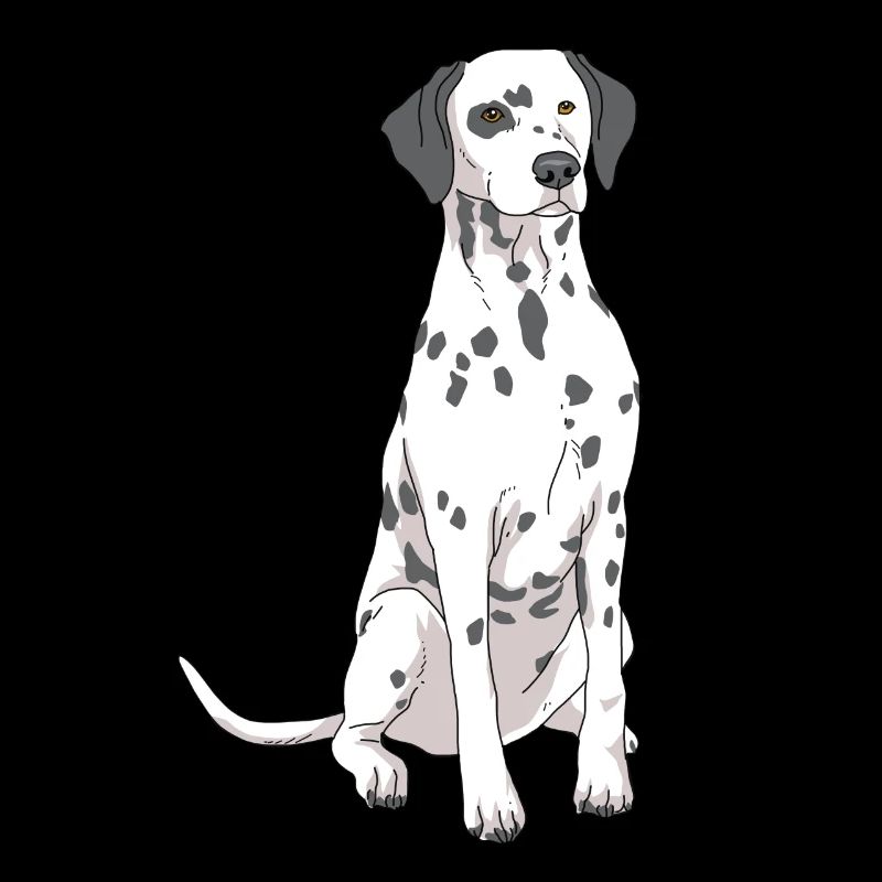 Dalmatian dog