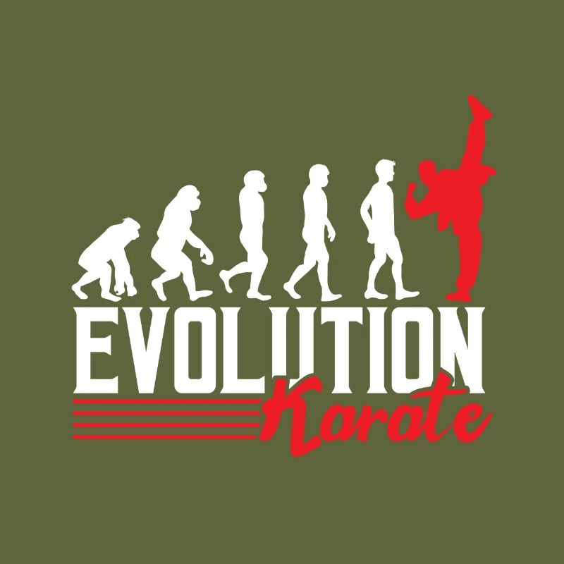 Evolution karate
