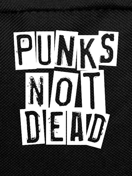 punk rock punk rocker punker