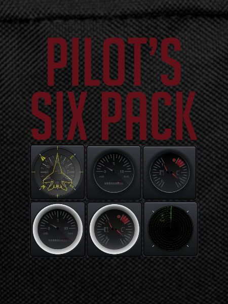 Pilot Fliegen