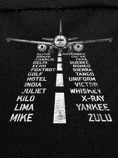 Airplane pilot flying