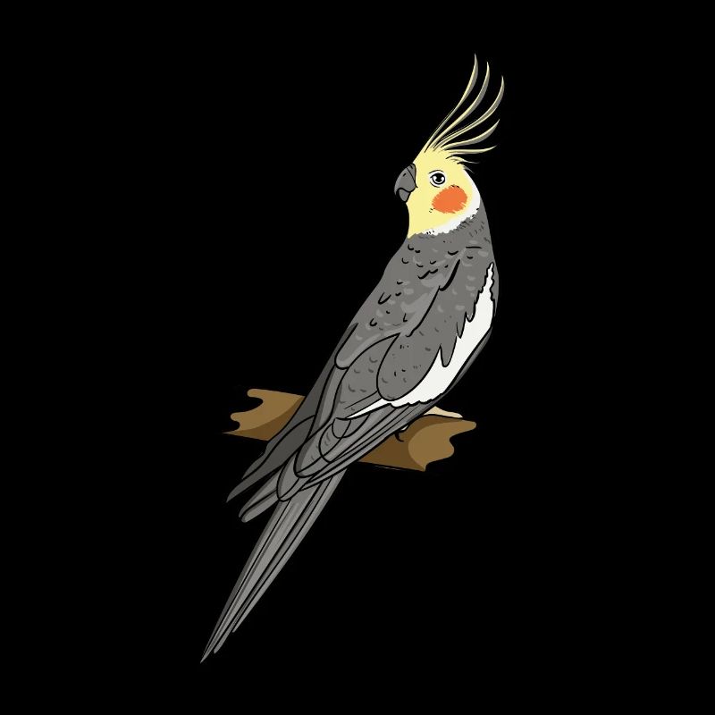 Cockatiel