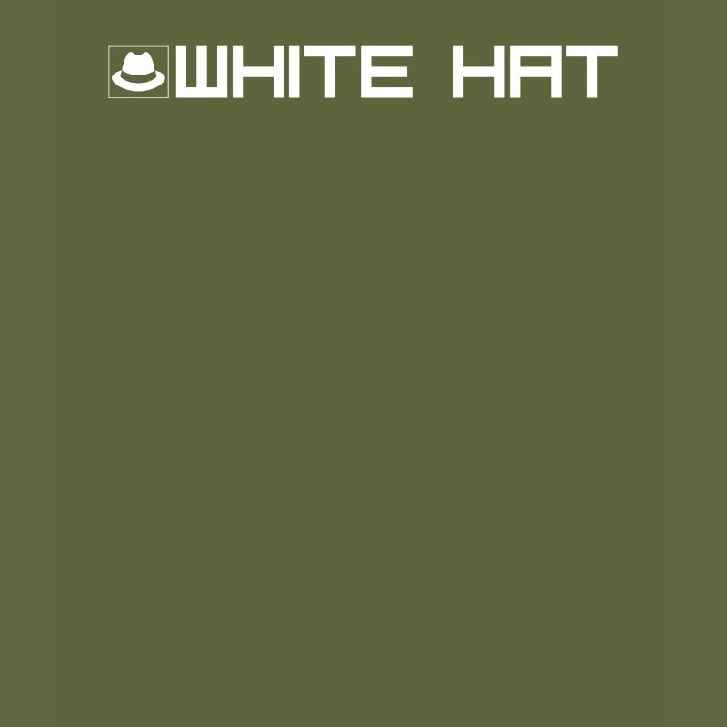Type de pirate chapeau blanc