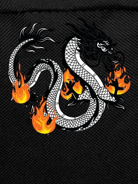 Dragon Dragon Design Fire Dragon