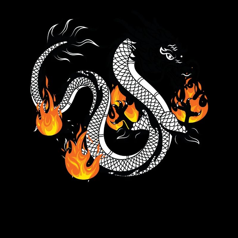 Dragon Dragons Conception dragon