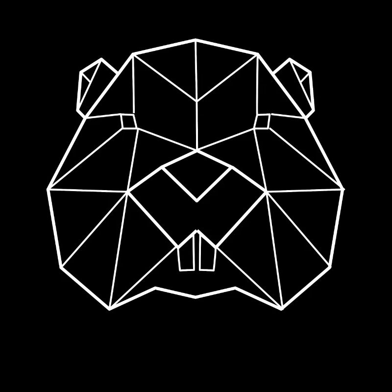 Beaver polygon