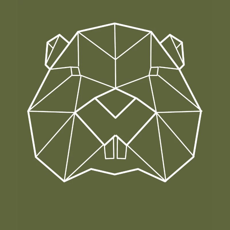 Beaver polygon