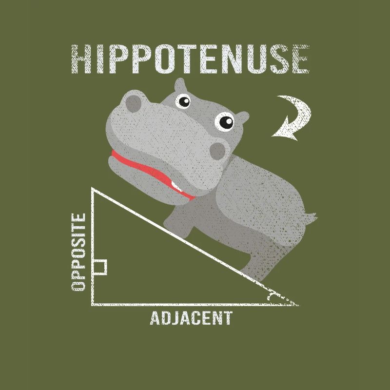Hippopotamus Mathematician