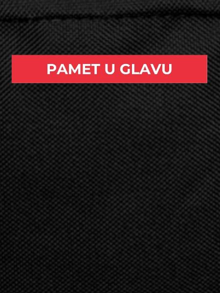 Pamet u glavu