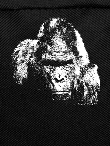 Gorilla silverback monkey