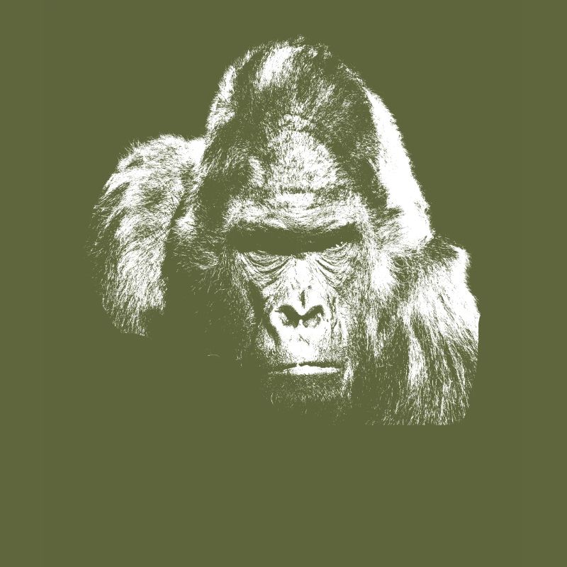 Gorilla silverback monkey