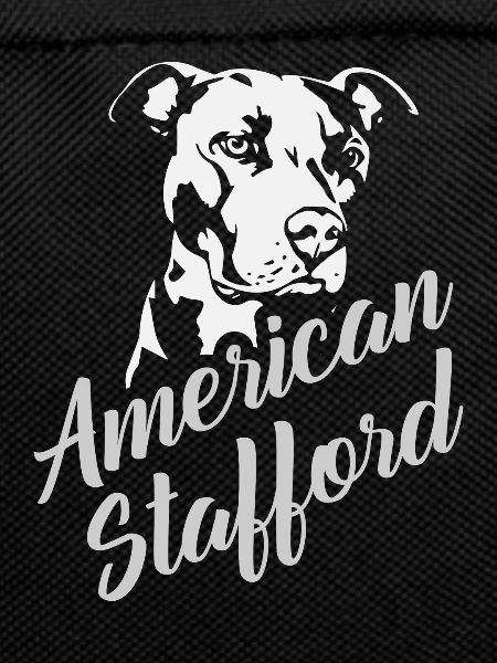 American Stafford