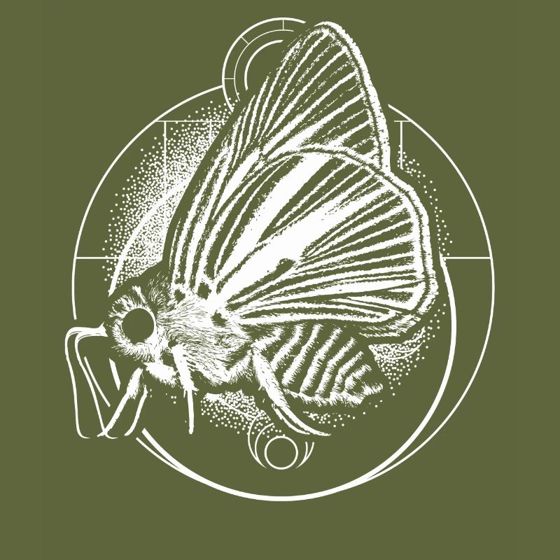 Cadeau de conception effrayante de papillon de nuit et de croissant de lune