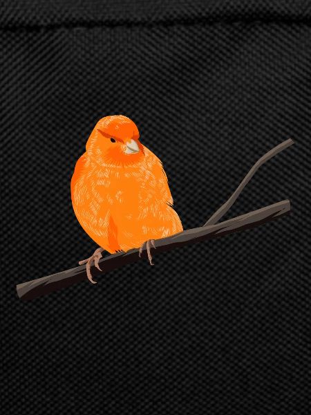Canary on branch
