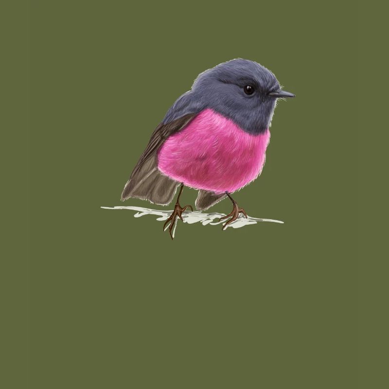 cool bird pink robin gift idea