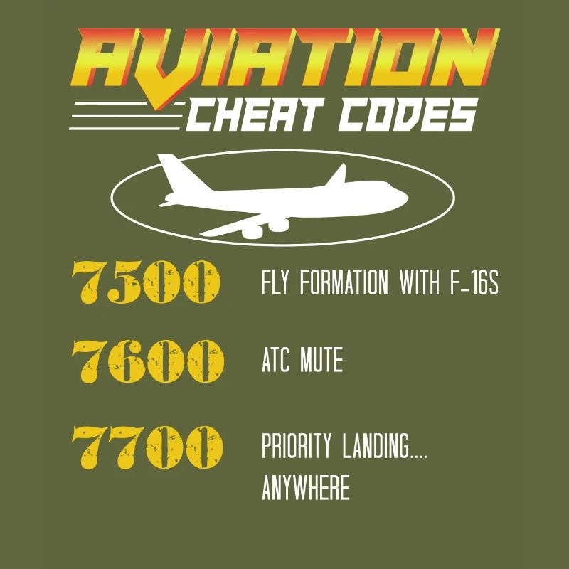 Aviation Cheat Codes gift, Aviation gift,