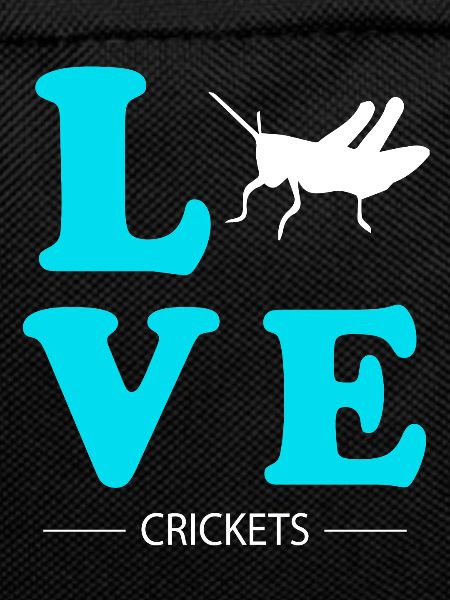 Cricket