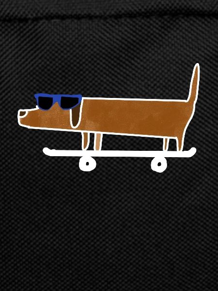 Funny dachshund dog skateboard