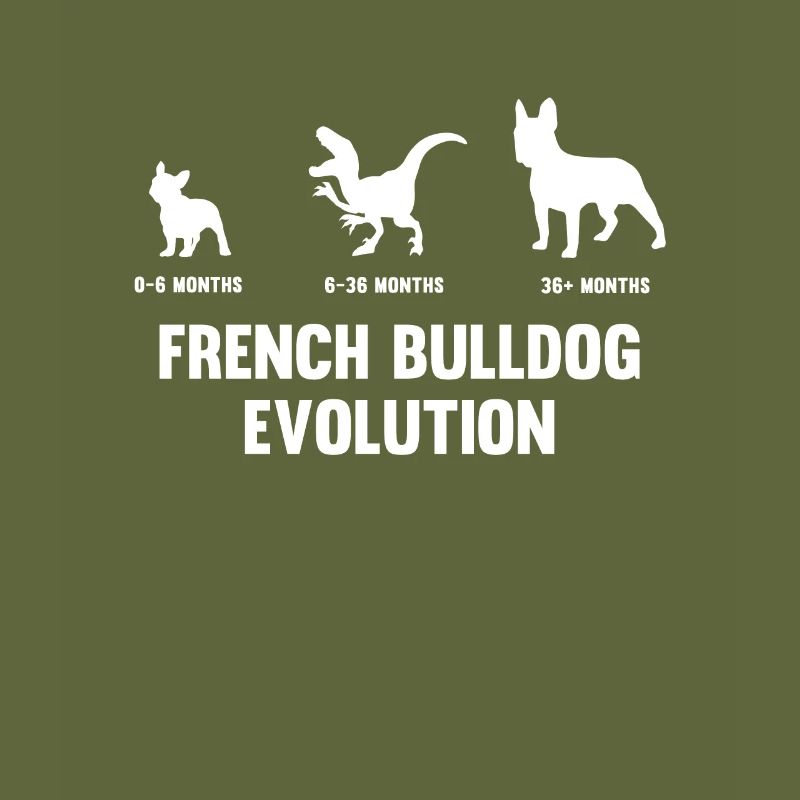 Evolution du bouledogue français pour un