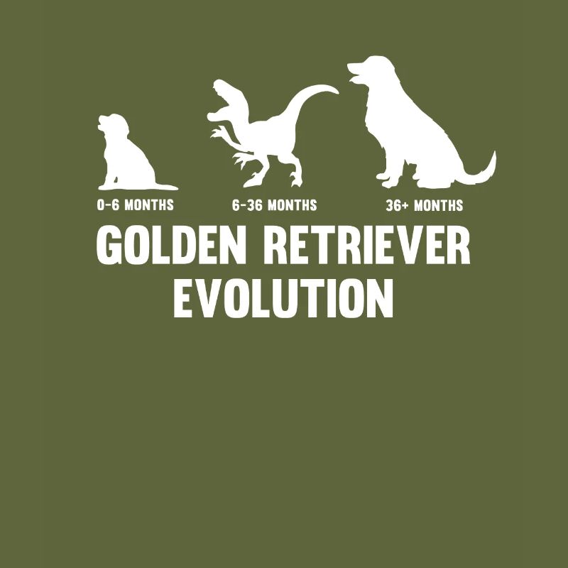 Golden Retriever Evolution for a dog owner