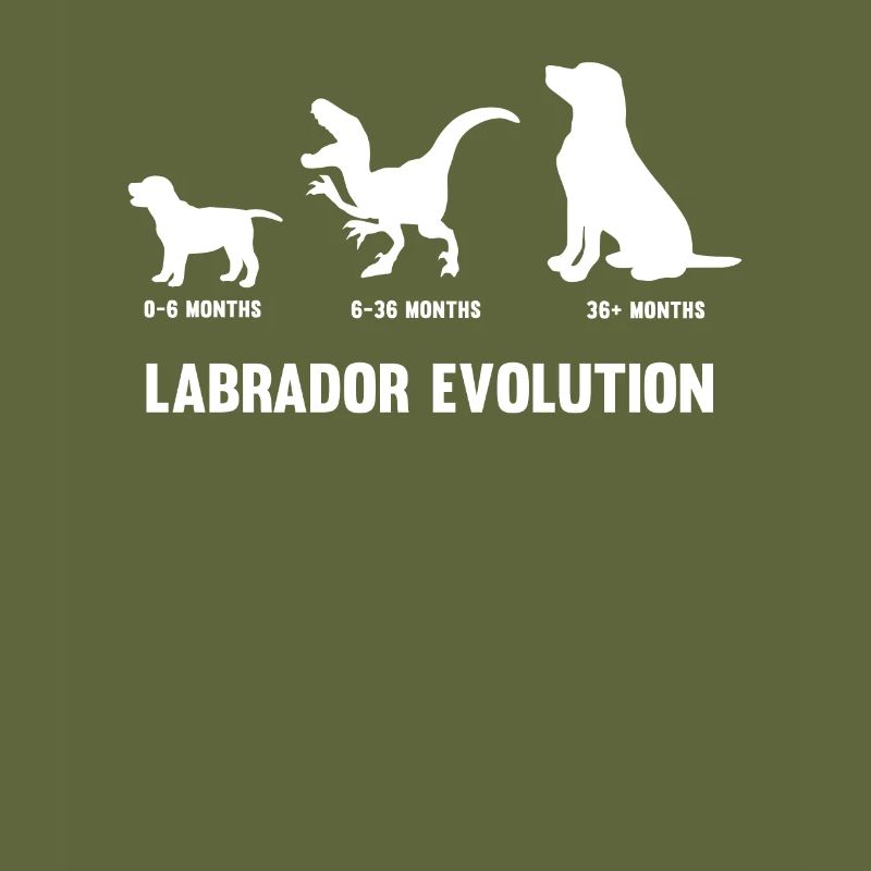 Labrador Evolution for a Labrador dog owner