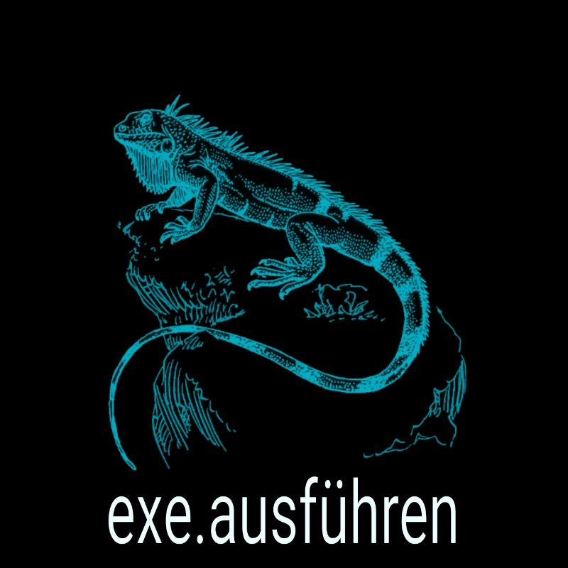 Admin Computer Informatiker exe ausführen blau