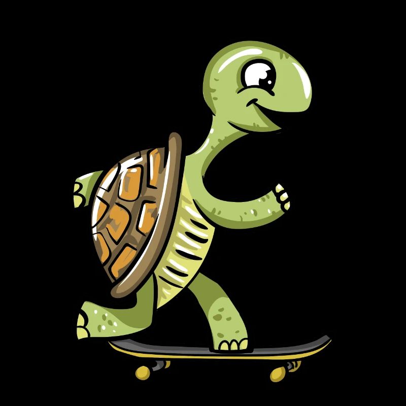 Skate Turtle