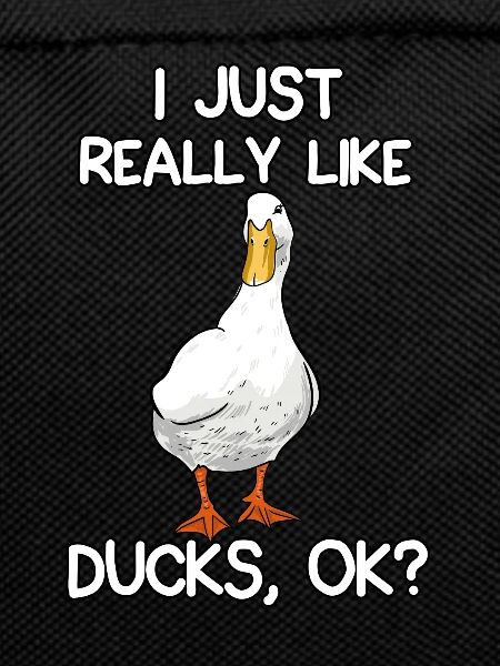 I Just Really Like Ducks