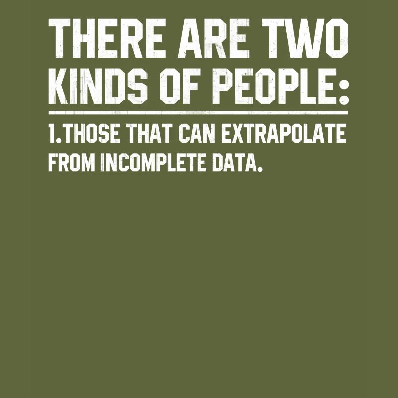 Software developer programmer