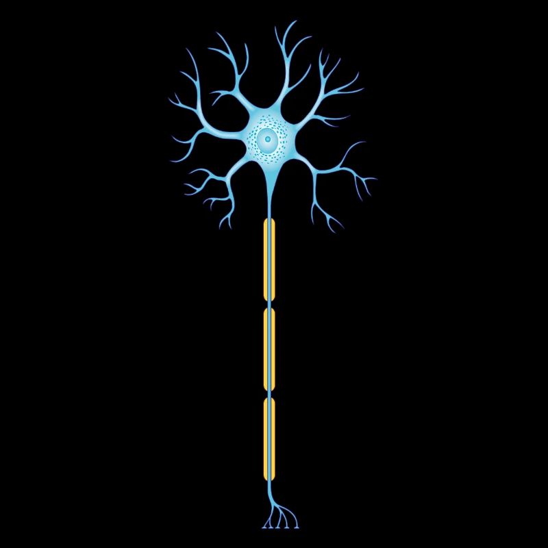 Neuron