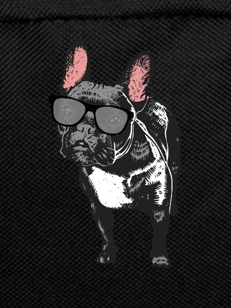 French bulldog