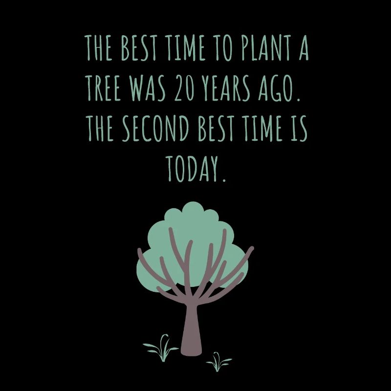 Die beste Zeit, um einen Baum zu pflanzen, war vor 20 Jahren