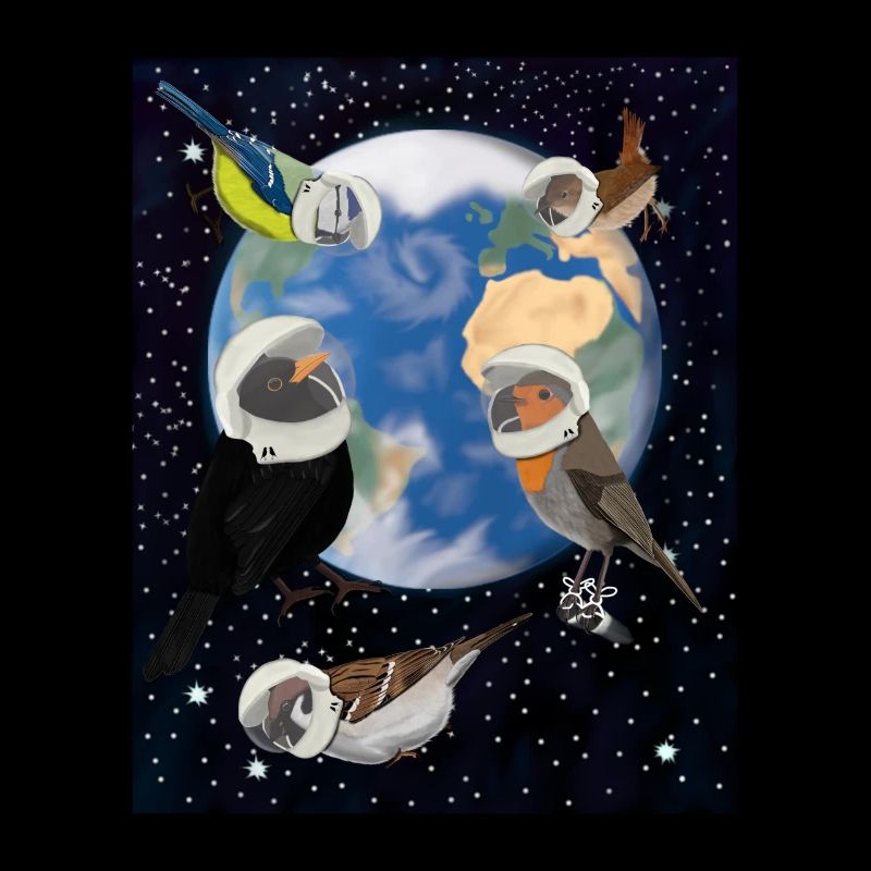 Oiseaux dans l’espace Merle mere bleue Moineau de clôture