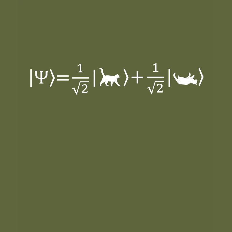 Schrödinger's Cat - Physicist Gift Physics Nerd