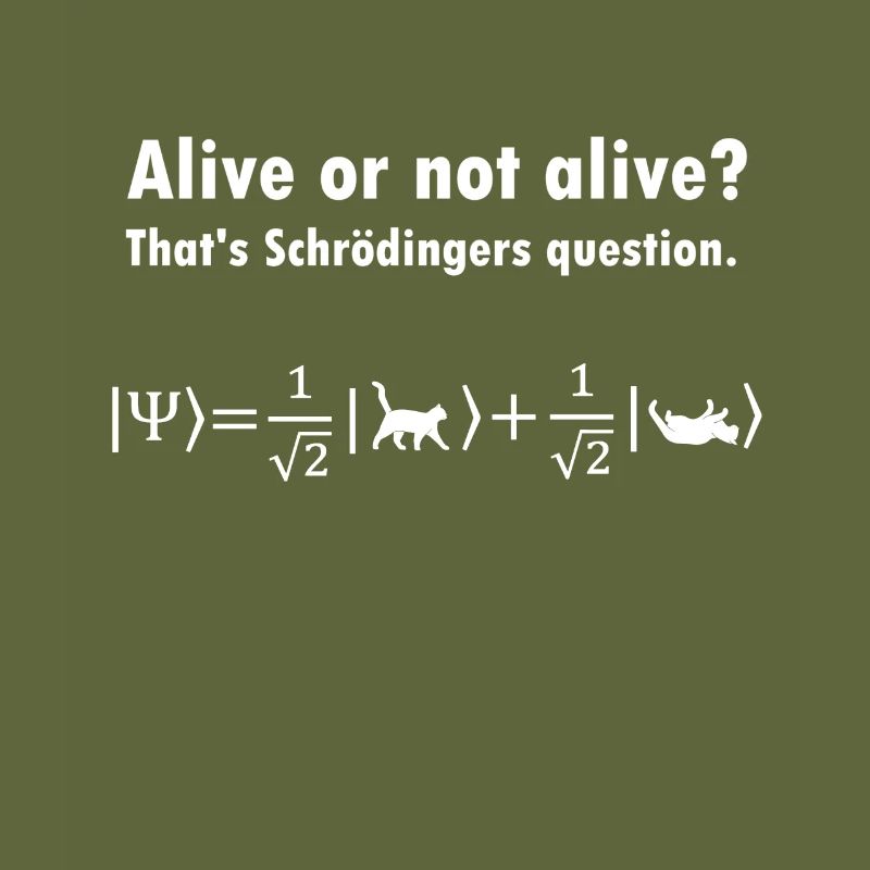 Schrödinger's Cat - Physicist Gift Physics Nerd