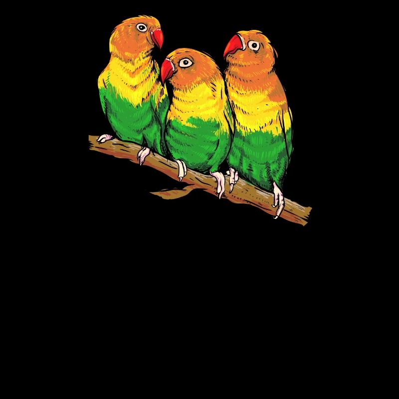 Agaproniade oiseau de compagnie pour oiseau propriétaire