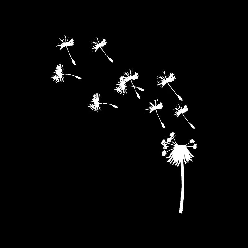Pustblumen Pusteblume Dandelion Flower Wildher