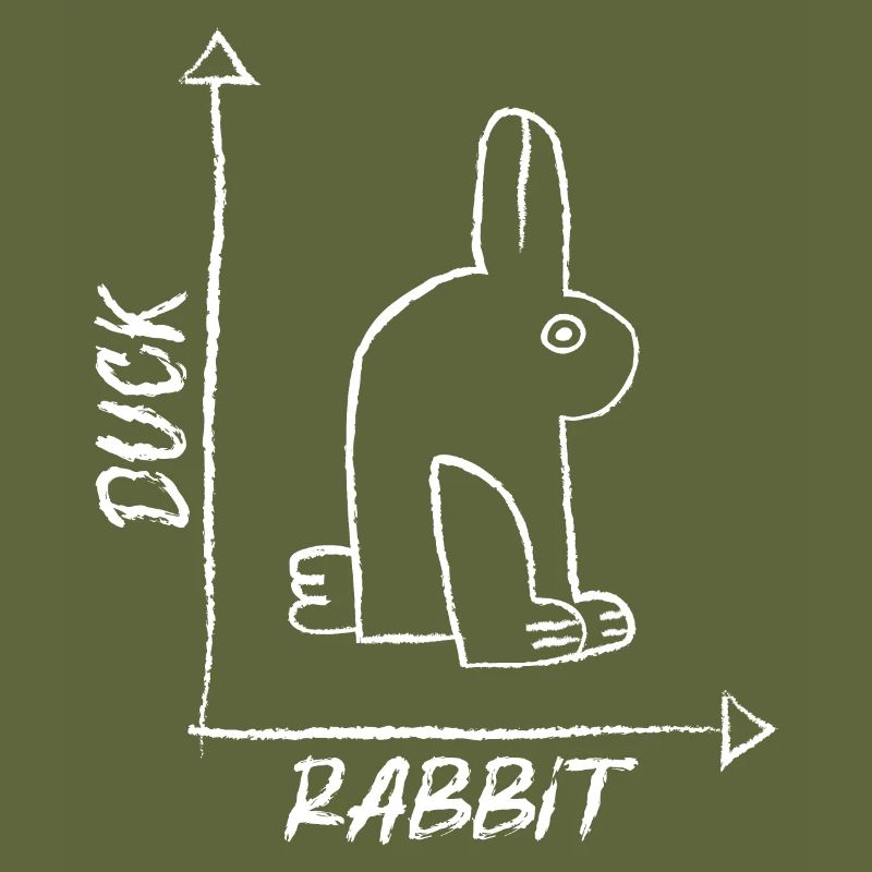 Duck Optical Illusion