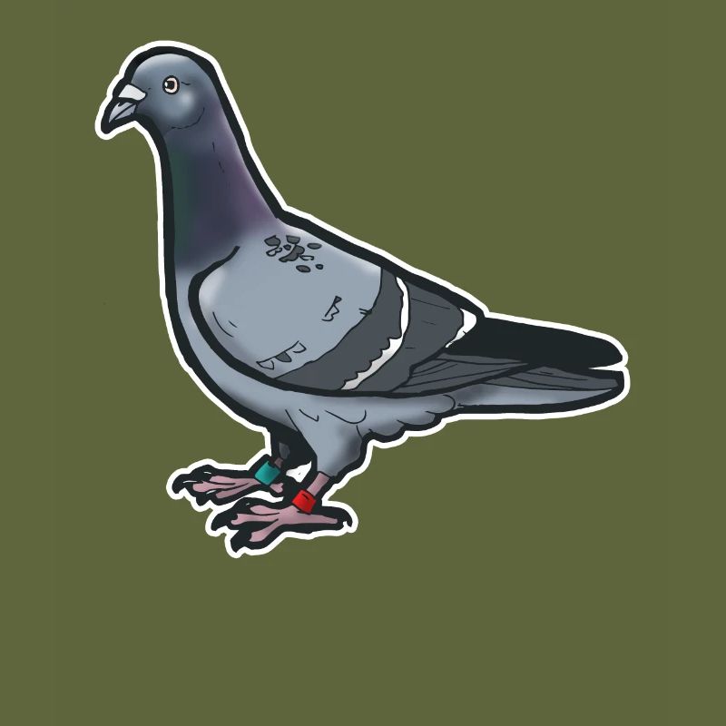 Comic Lustige Taube Vogel Geschenkidee Brieftaube