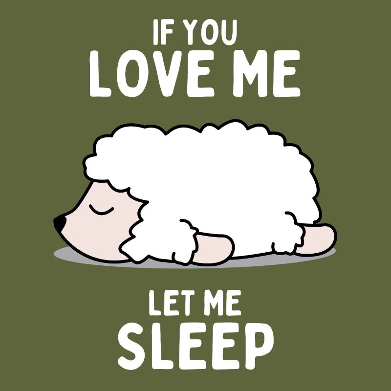 Sleeping Sheep Funny Gift
