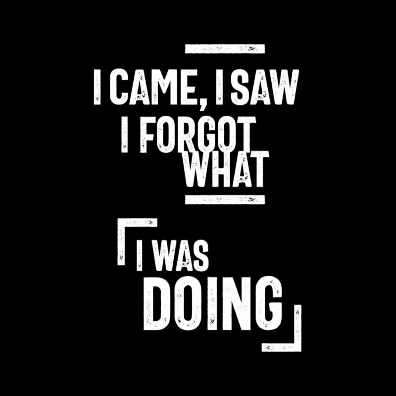 I Came, I Saw I forgot What, I Was Doing