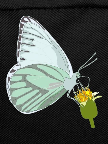 Butterfly with flower